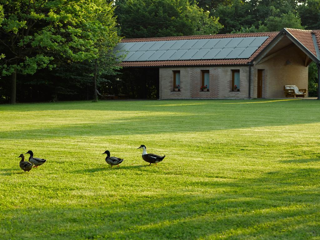 Villa Relais Agrituristico Ormesani à San Liberale Extérieur photo