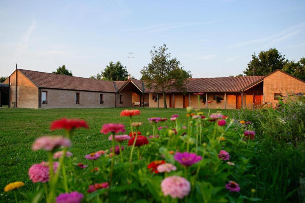 Villa Relais Agrituristico Ormesani à San Liberale Extérieur photo